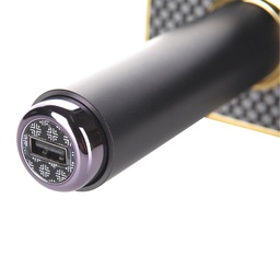 M/Sing W/L Karaoke Mic MP30PRO