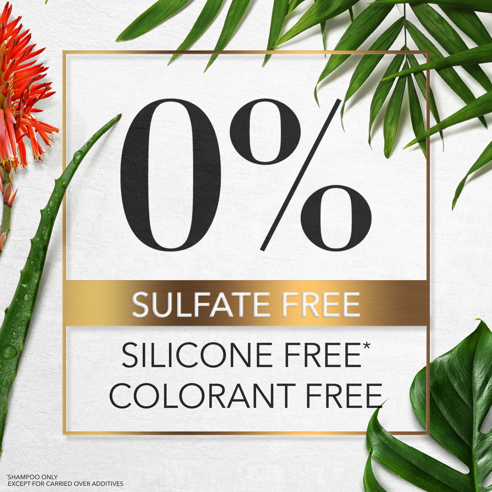 Herbal Essences Color Protect Sulfate Free Potent Aloe Vera + Mango Natural Shampoo for Dry Hair 400 ml