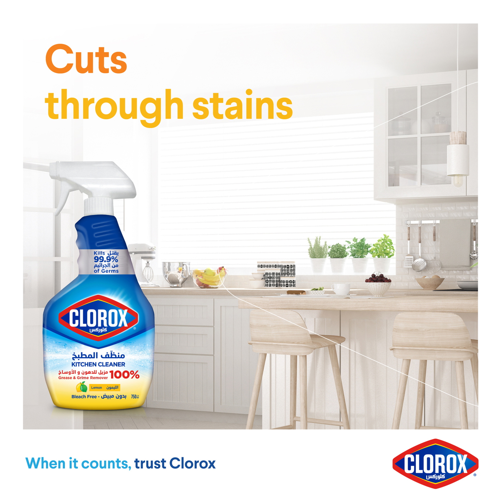 Clorox Kitchen Spray Cleaner Lemon Bleach Free 750 ml
