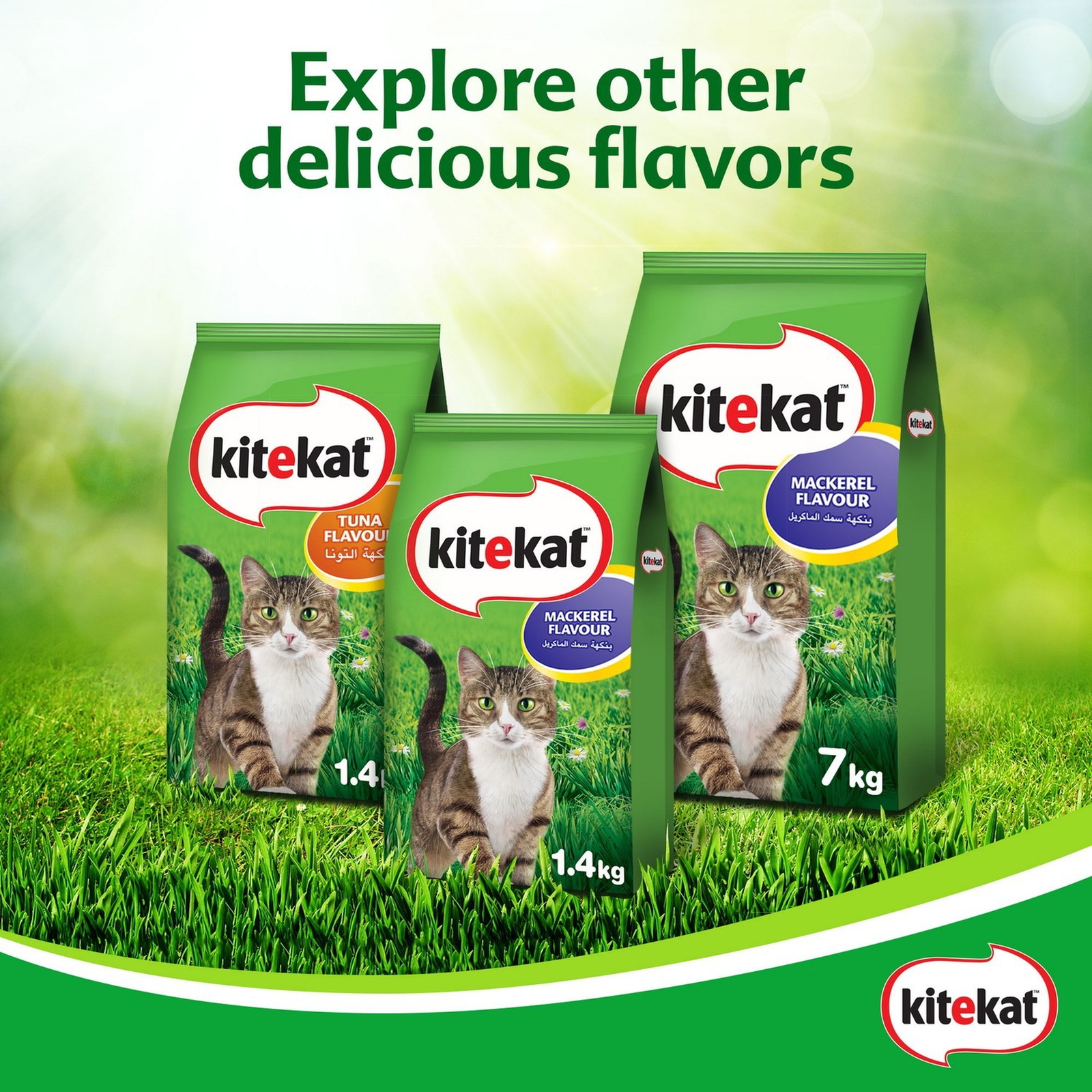 Kitekat Mackerel Dry Cat Food 1.4 kg