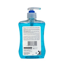 Enliven Anti Bacterial Handwash Original 500 ml