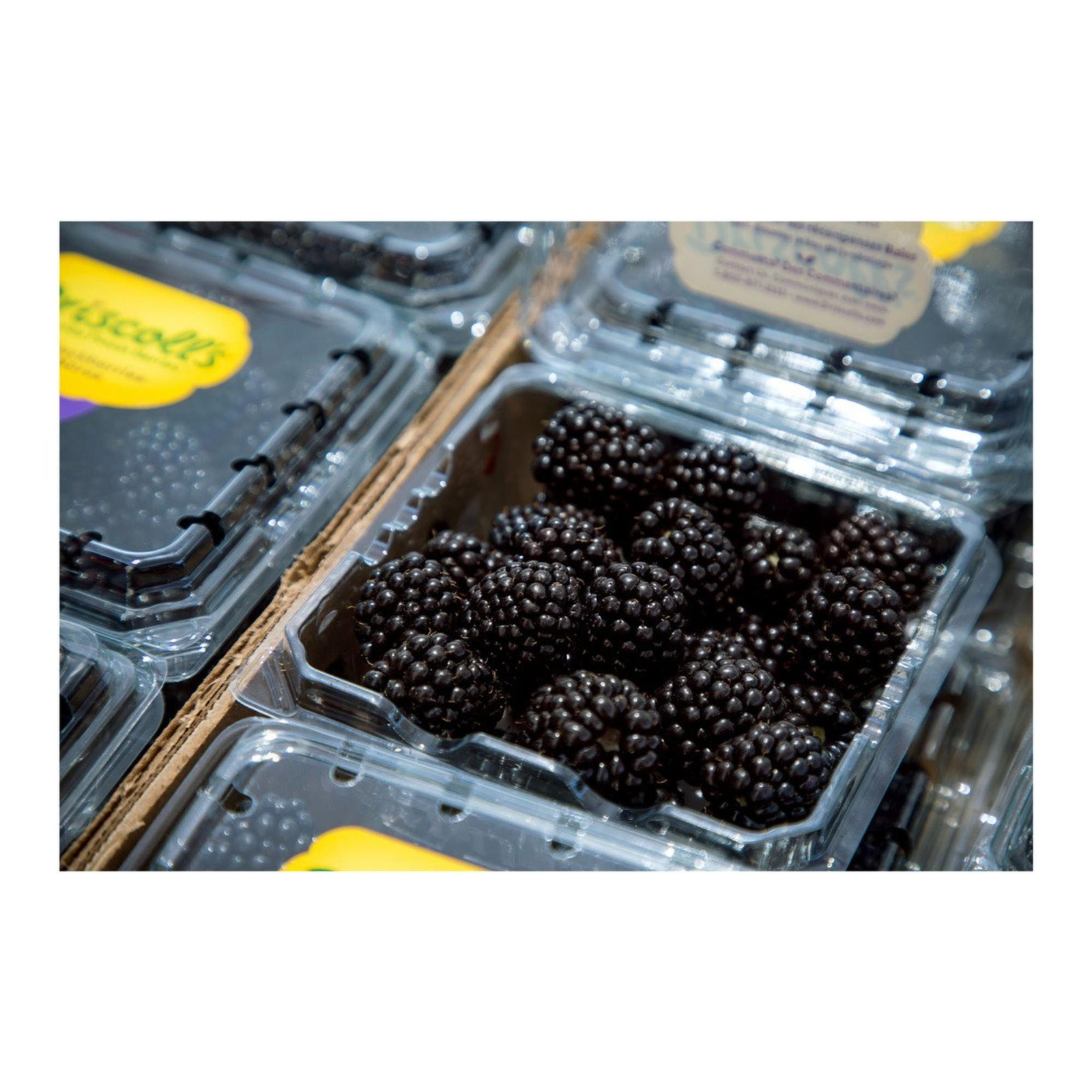 Blackberry 125 g